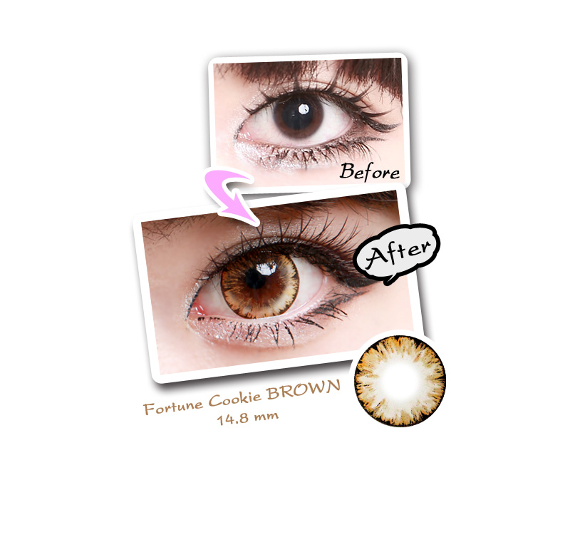 [ブラウン/BROWN] フォーチュンクッキー