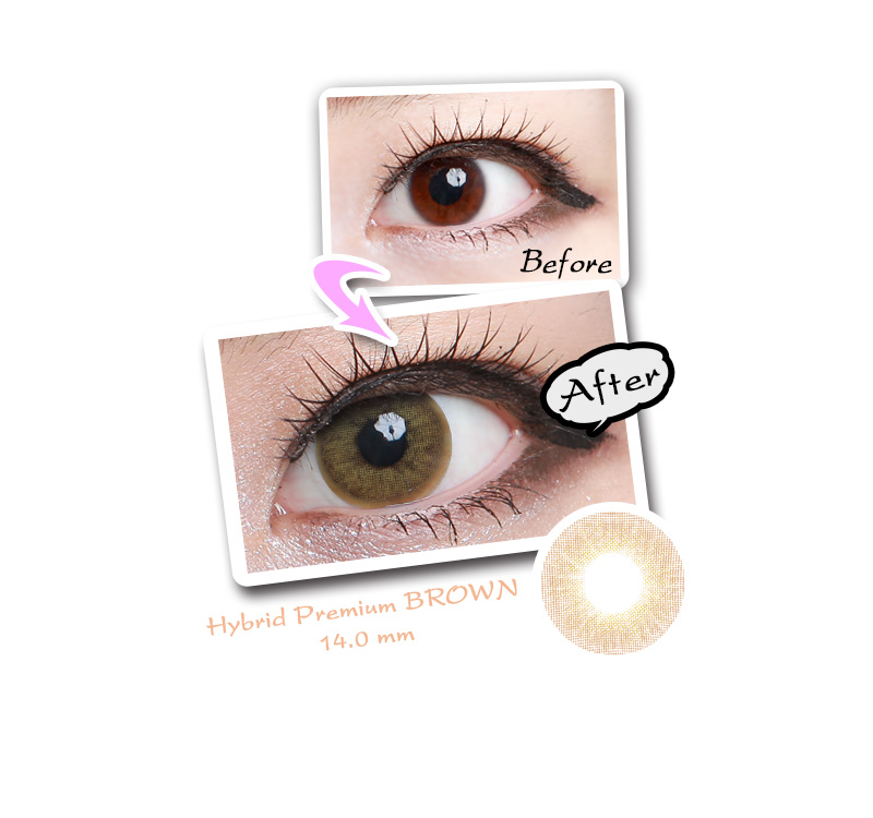 [ブラウン/BROWN] ハイブリッド ハーフ系