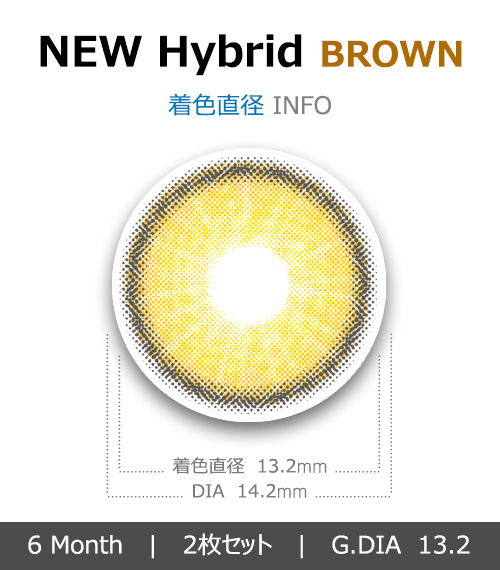 [ブラウン/BROWN] ニュー ハイブリッド エッジ4