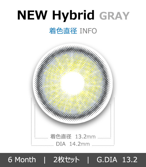 [グレー/GRAY] ニュー ハイブリッド エッジ4