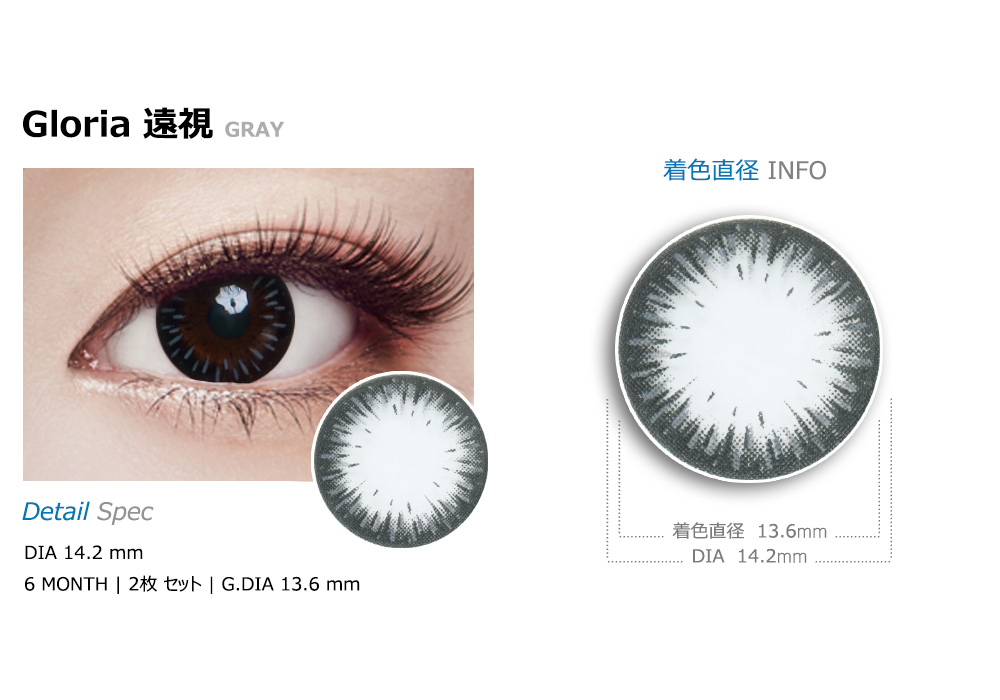 [遠視用/グレー] グロリア