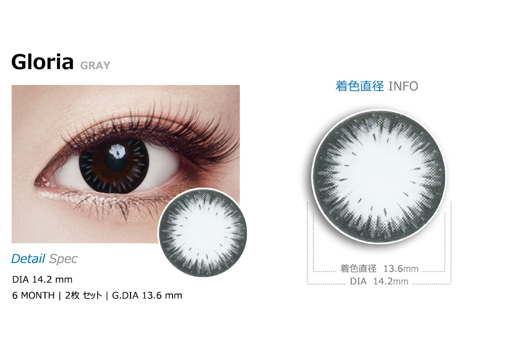 [乱視用/グレー] グロリア