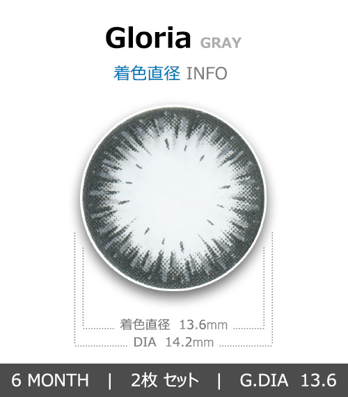 [乱視用/グレー] グロリア4
