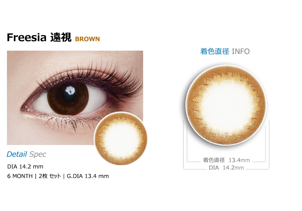 [遠視用/ブラウン] フリージア