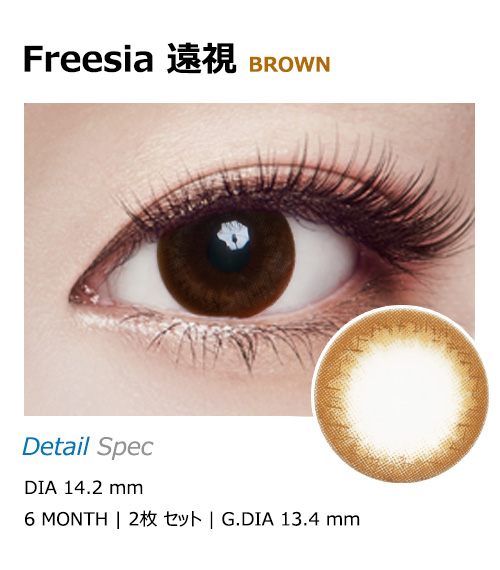 [遠視用/ブラウン] フリージア1