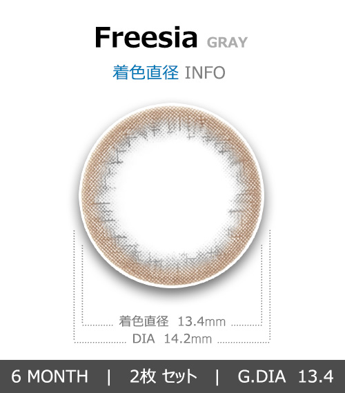 [乱視用/グレー] フリージア4