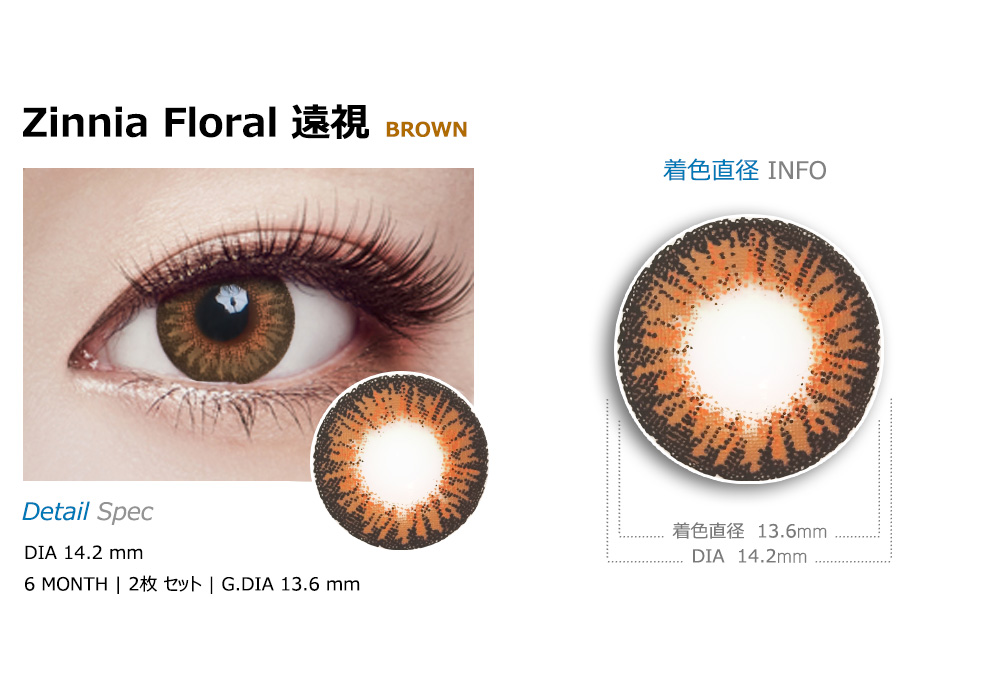 [遠視用/ブラウン] ジニア フローラル