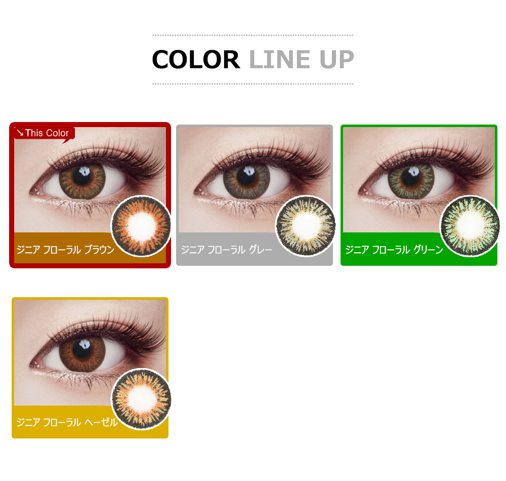 [遠視用/ブラウン] ジニア フローラル