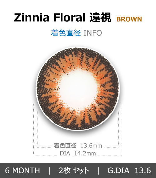[遠視用/ブラウン] ジニア フローラル4