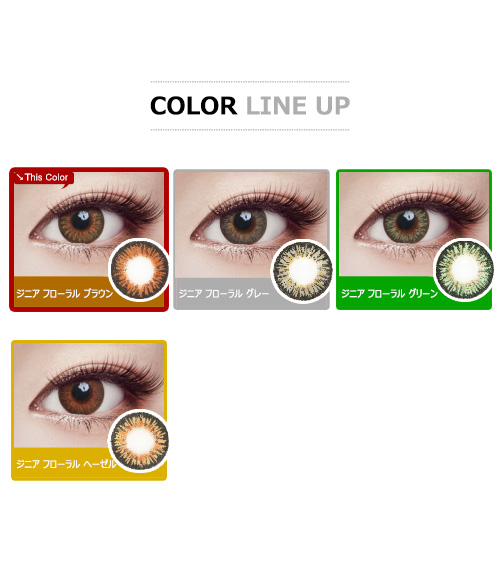 [遠視用/ブラウン] ジニア フローラル5