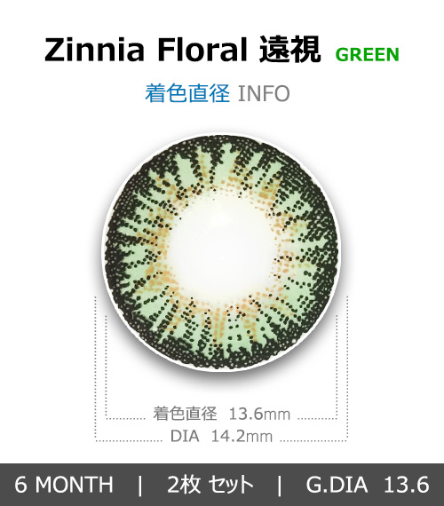 [遠視用/グリーン] ジニア フローラル4
