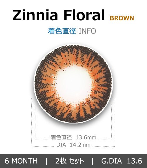 [乱視用/ブラウン] ジニア フローラル4
