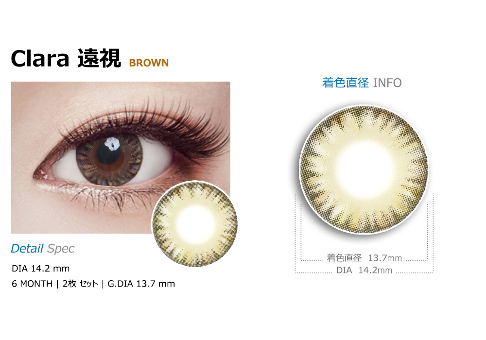 [遠視用/ブラウン] クララ 4 トーン