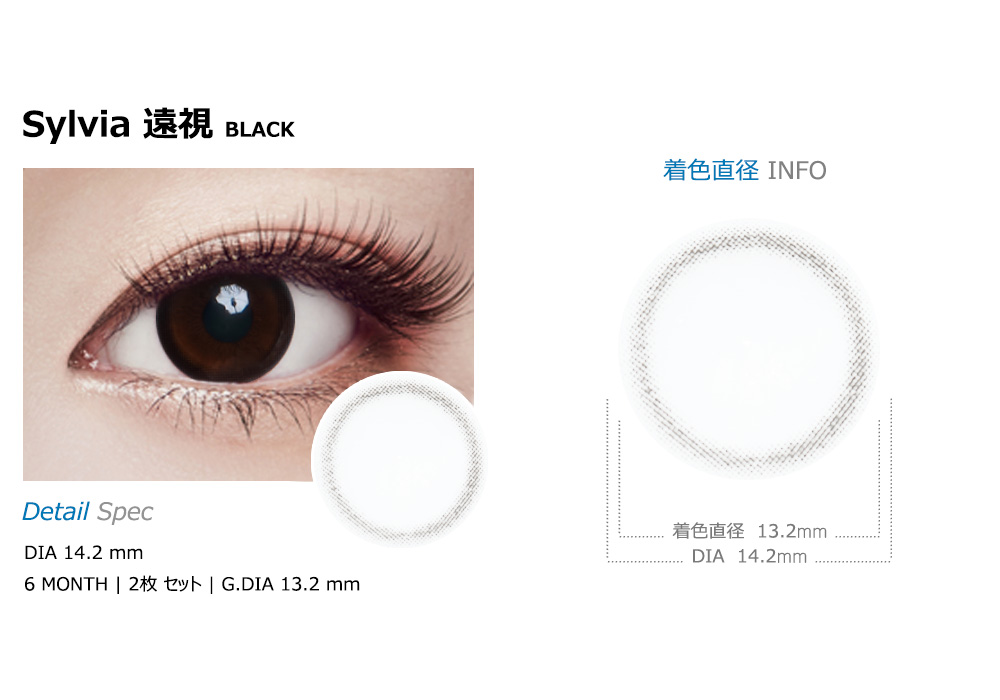 [遠視用/ブラック] シルビア
