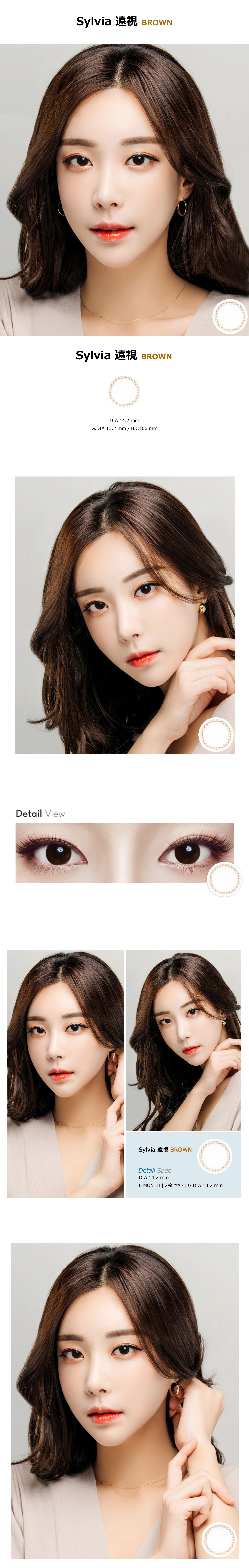 [遠視用/ブラウン] シルビア