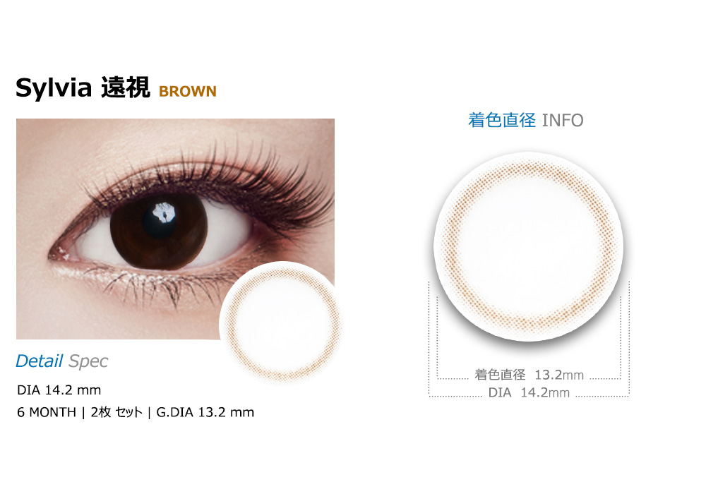 [遠視用/ブラウン] シルビア