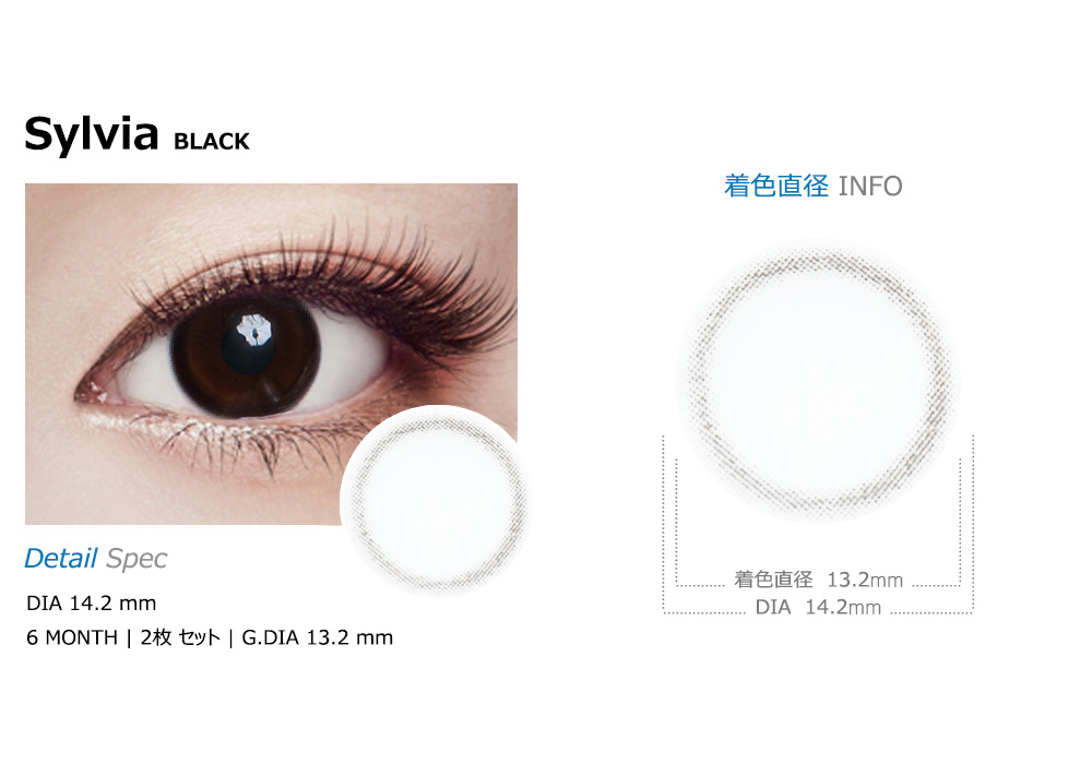 [乱視用/ブラック] シルビア