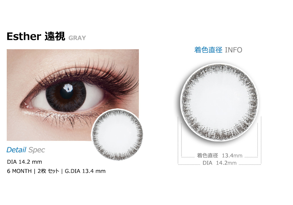 [遠視用/グレー] エスター
