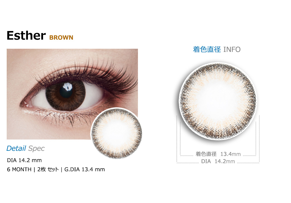 [乱視用/ブラウン] エスター