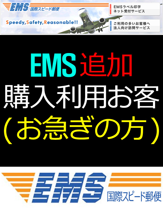 EMS 追加料金 (海外の方+1380円)