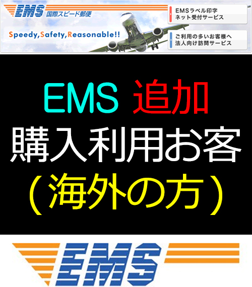 EMS 追加料金 (海外の方+1380円)3
