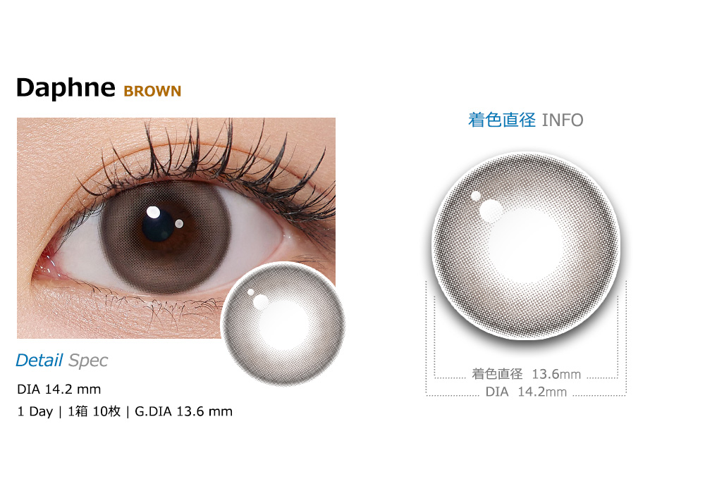 [1 Day/ブラウン] ダフネ (1箱 10枚)