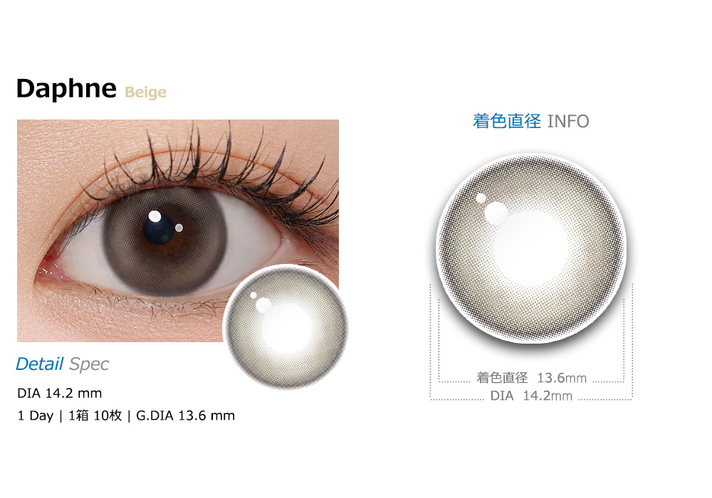 [1 Day/ベージュ] ダフネ (1箱 10枚)