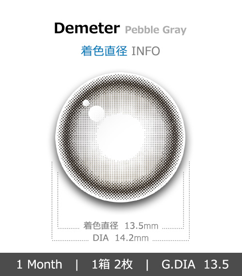 [1 Month/ペブル グレー] デメテル 13.5 シリコン (1箱 2枚)4