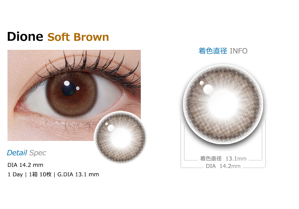 [1 Day/ソフト ブラウン] ディオーネ (1箱 10枚)