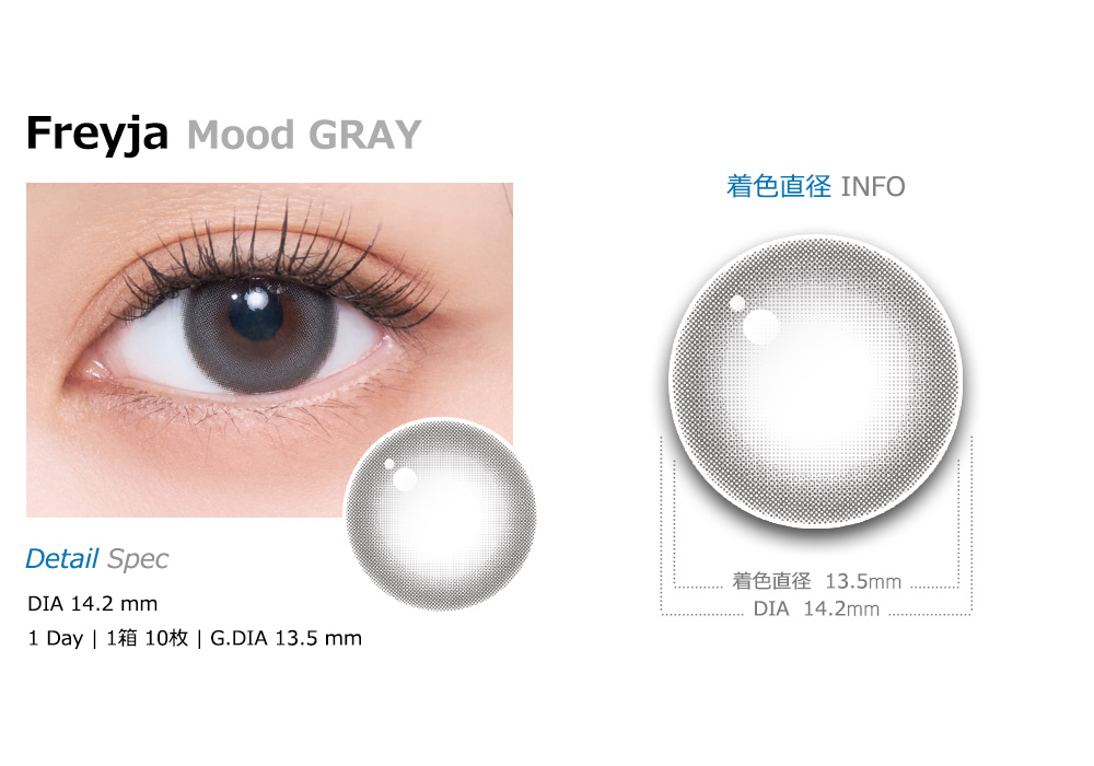 [1 Day/ムード グレー] フレイア シリコン (1箱 10枚)
