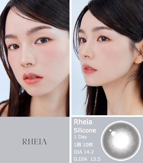 [1 Day/チャコール グレー] レイア シリコン (1箱 10枚)3
