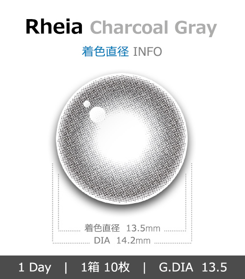 [1 Day/チャコール グレー] レイア シリコン (1箱 10枚)4