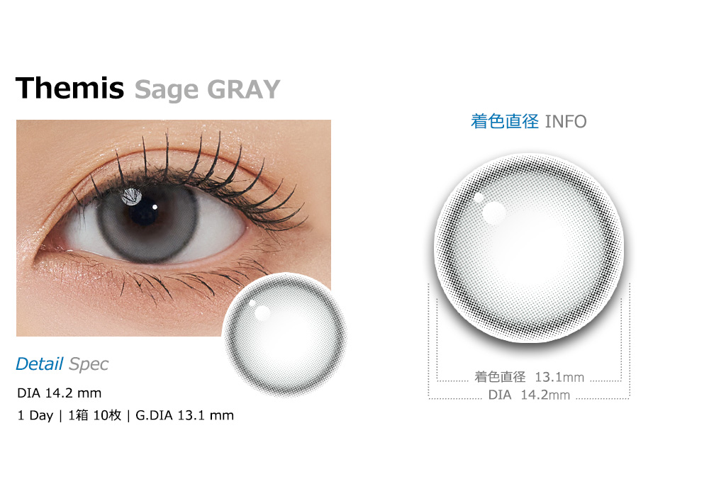 [1 Month/セージ グレー] テミス シリコン (1箱 2枚)