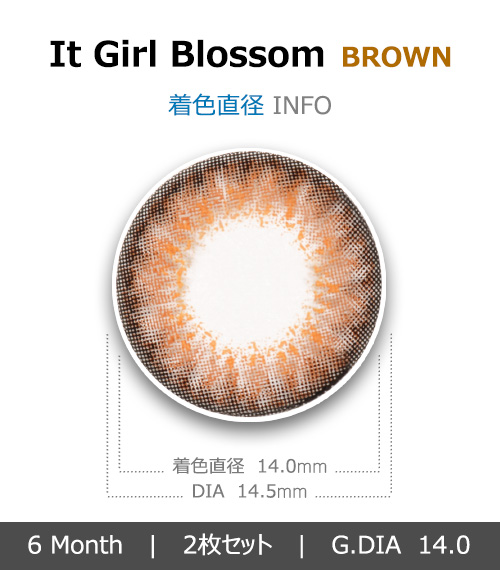 [ブラウン/BROWN] イット・ガール ブロッサム4