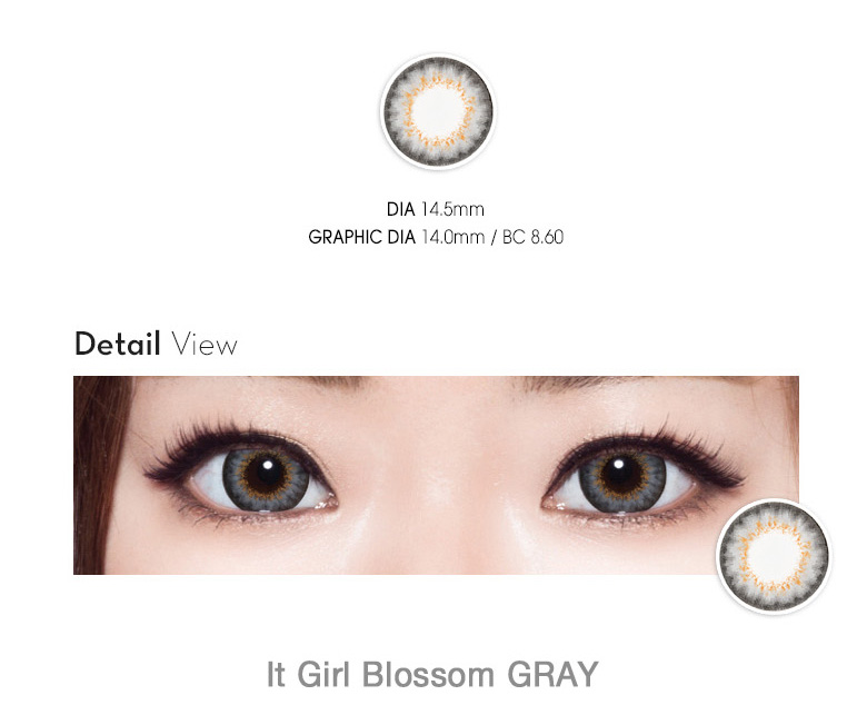 [グレー/GRAY] イット・ガール ブロッサム