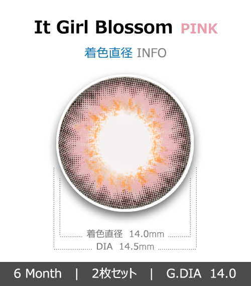 [ピンク/PINK] イット・ガール ブロッサム4