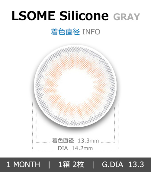 [1 Month/グレー] エル・サム シリコン (1箱 2枚)4