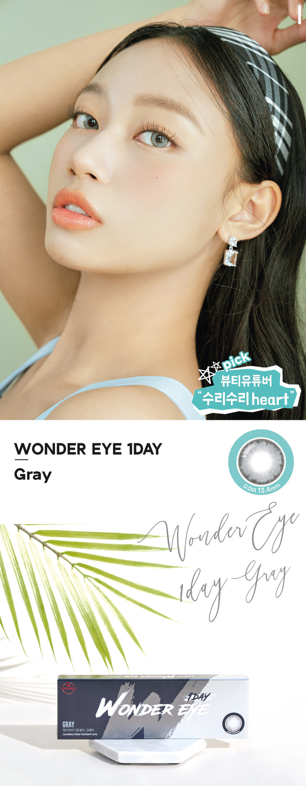 [1 Day/グレー]  ワンダー・アイ (1箱 10枚)