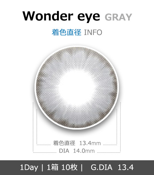 [1 Day/グレー]  ワンダー・アイ (1箱 10枚)4