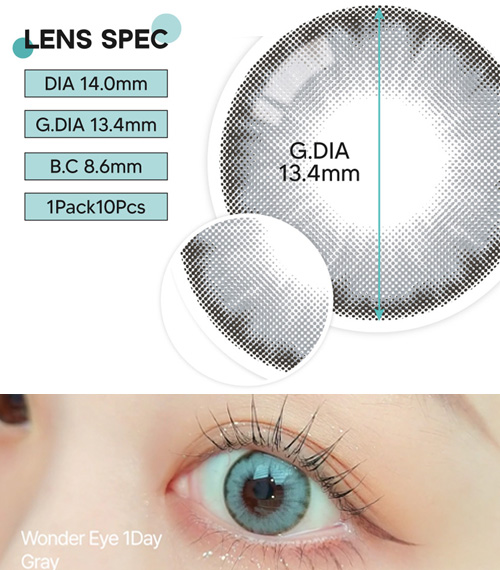 [1 Day/グレー]  ワンダー・アイ (1箱 10枚)5