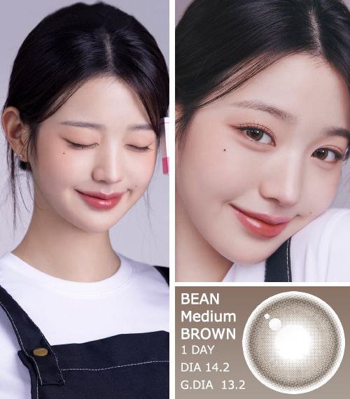 [1 Day/ミディアム ブラウン] ビーン・クリスティン (1箱 10枚)3
