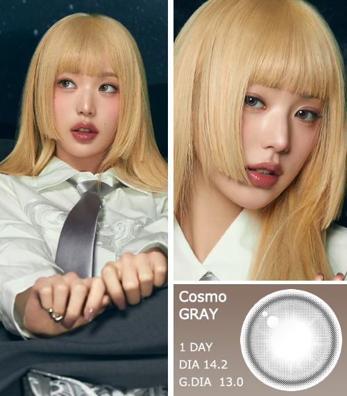 [1 Day/グレー] コスモ・クリスティン (1箱 10枚)3