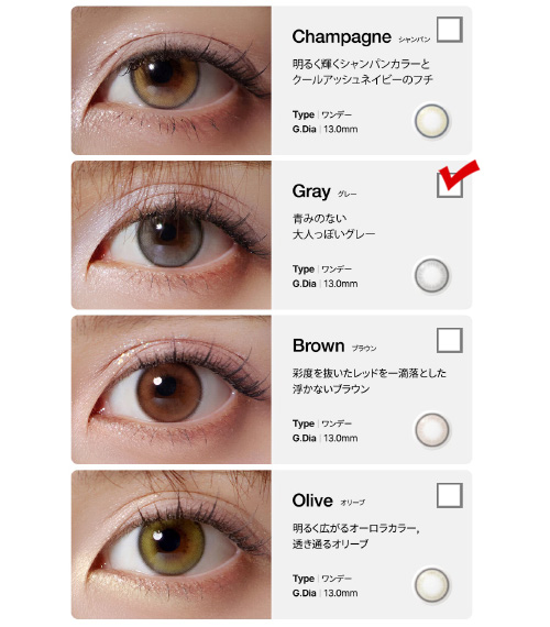 [1 Day/グレー] コスモ・クリスティン (1箱 10枚)5