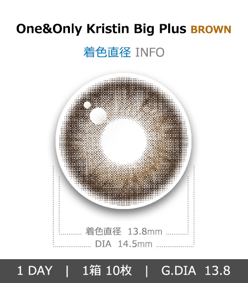 [1 Day/ブラウン] ワン&オンリー・クリスティン ビッグ プラス (1箱 10枚)4