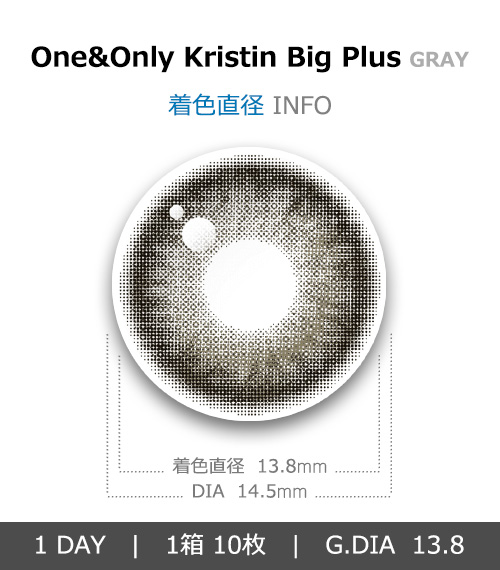 [1 Day/グレー] ワン&オンリー・クリスティン ビッグ プラス (1箱 10枚)4
