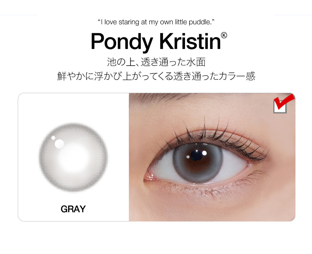 [1 Day/グレー] ポンディ・クリスティン (1箱 10枚)