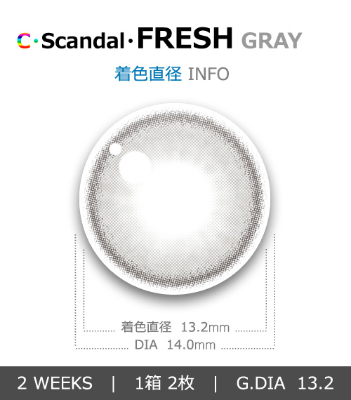 【2週間/乱視用】 トリカ フレッシュ グレー (1箱2枚)4