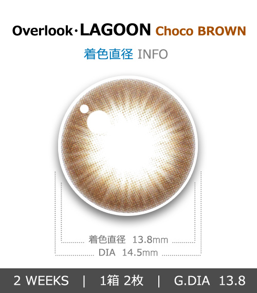 【2週間/チョコ ブラウン】 トリカ ラグーン (1箱2枚)4