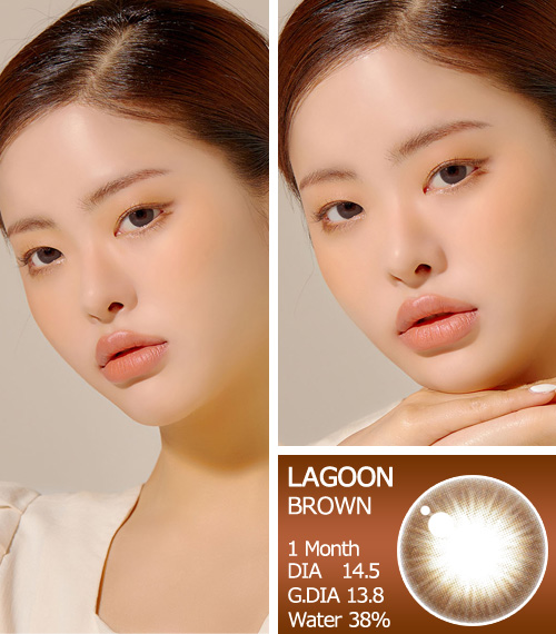 【6ヶ月/チョコ ブラウン】 トリカ ラグーン3