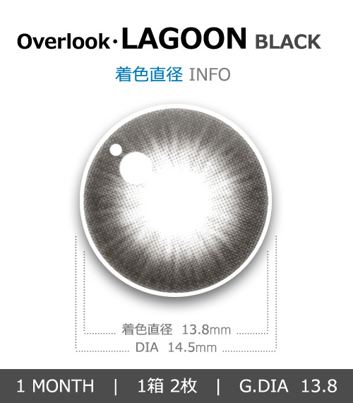 【1ヶ月/乱視用】 トリカ ラグーン ブラック  (1箱2枚)4